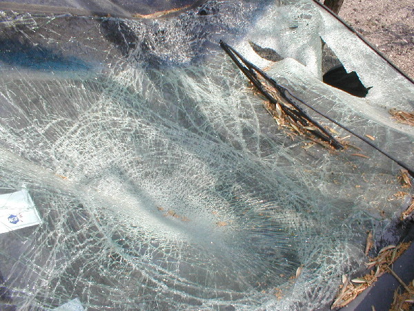 image15