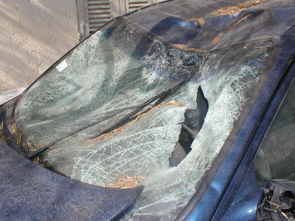 image18