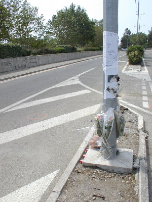 image11