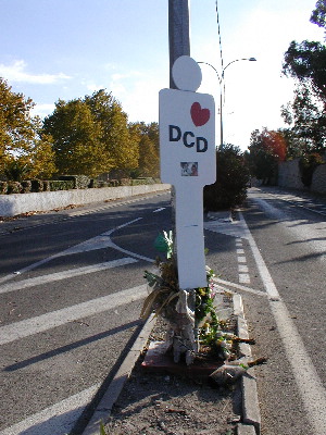 image8